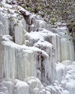 Images Dated 24th January 2015: USA, West Virginia, Blackwater Falls State Park