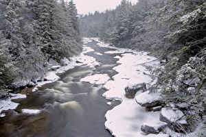 Images Dated 23rd January 2015: USA, West Virginia, Blackwater Falls State Park. Stream in winter landscape. Credit as