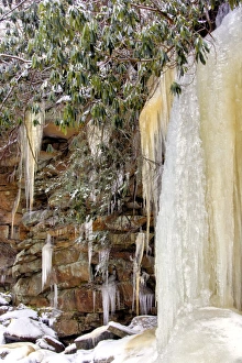 Images Dated 24th January 2015: USA, West Virginia, Blackwater Falls State Park