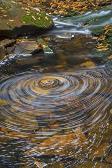 West Virginia Prints: USA, West Virginia, Blackwater Falls State Park