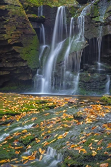 West Virginia Prints: USA, West Virginia, Blackwater Falls State Park