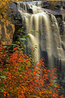 USA, West Virginia, Blackwater Falls State Park