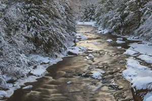 Images Dated 2nd February 2018: USA, West Virginia, Blackwater Falls State Park. Forest and stream in winter. Credit as