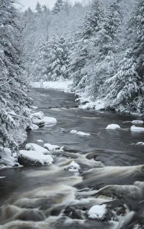 Images Dated 1st February 2018: USA, West Virginia, Blackwater Falls State Park. Forest and stream in winter. Credit as