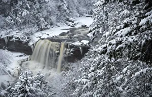 Images Dated 1st February 2018: USA, West Virginia, Blackwater Falls State Park. Forest and waterfall in winter. Credit as