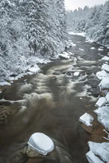 Images Dated 1st February 2018: USA, West Virginia, Blackwater Falls State Park. Forest and stream in winter. Credit as