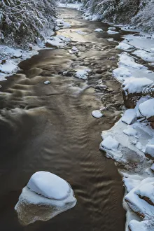 Images Dated 2nd February 2018: USA, West Virginia, Blackwater Falls State Park. Forest and stream in winter. Credit as
