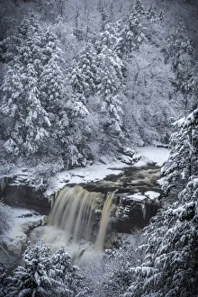 Images Dated 1st February 2018: USA, West Virginia, Blackwater Falls State Park. Forest and waterfall in winter. Credit as