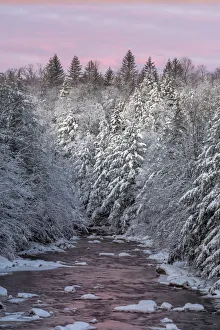 Images Dated 2nd February 2018: USA, West Virginia, Blackwater Falls State Park. Forest and stream in winter. Credit as