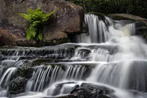 USA, West Virginia, Blackwater Falls State Park