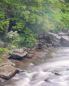 New Images March 2024 Prints: USA, West Virginia, Blackwater Falls State Park. Blackwater River rapids