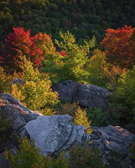 New Images March 2024 Prints: USA, West Virginia, Blackwater Falls State Park. Sunset on mountain overlook