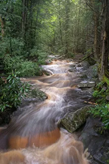 New Images March 2024 Prints: USA, West Virginia, Blackwater Falls State Park. Rapids on Blackwater River