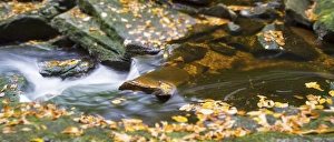 USA, West Virginia, Canaan Valley. A small waterfall just downstream from the first
