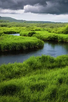 New Images March 2024 Prints: USA, West Virginia, Canaan Valley State Park. Storm clouds over stream in grassy valley