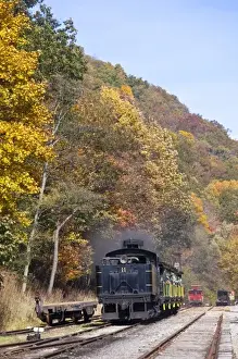USA, West Virginia, Cass. Cass Scenic Railroad State Park, steam train