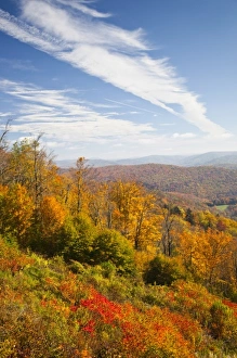 Images Dated 11th October 2009: USA, West Virginia, Cheat Bridge. Monongahela National Forest, fall foliage, Rt. 250
