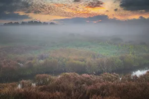 Images Dated 2022: USA, West Virginia, Davis. Fog over stream in valley at sunrise