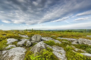 West Virginia Prints: USA, West Virginia, Davis. Landscape in Dolly Sods Wilderness Area