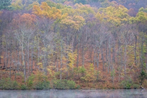West Virginia Prints: USA, West Virginia, Delaware Watergap Recreational Area. Lake and forest in autumn