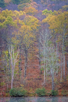 West Virginia Prints: USA, West Virginia, Delaware Watergap Recreational Area. Lake and forest in autumn
