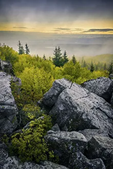 New Images March 2024 Prints: USA, West Virginia, Dolly Sods Wilderness Area. Sunrise on mountain boulders and forest