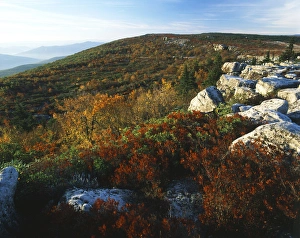 USA, West Virginia, Monongahela National Forest, Bear Rocks in Dolly Sods Wilderness Area