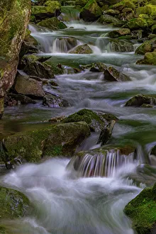 New Images March 2024 Prints: USA, West Virginia, New River Gorge National Park. Stream rapids in spring