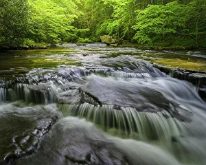 West Virginia Prints: USA, West Virginia, New River Gorge National Park