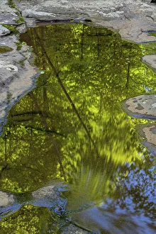 West Virginia Prints: USA, West Virginia, New River Gorge National Park