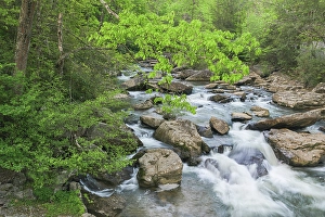 New Images March 2024 Part 1 Prints: USA, West Virginia, New River Gorge National Park