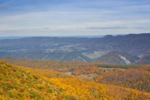 Images Dated 10th October 2009: USA, West Virginia, Seneca Rocks. Spruce Knob-Seneca Rocks National Recreation Area