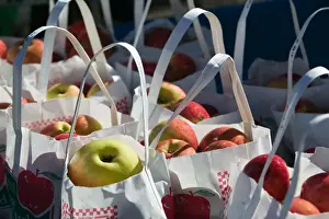 Images Dated 8th October 2005: USA-WISCONSIN-Bayfield: Lake Superior Shore- Bayfield Apple Festival - Apples / Autumn
