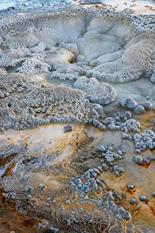 USA, Wyoming. Abstract geothermal feature, Anemone Geyser, Yellowstone National Park
