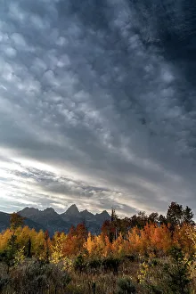 Images Dated 3rd January 2023: USA, Wyoming. Autumn evening near Black Tail Butte, Grand Teton National Park