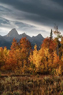 Images Dated 3rd January 2023: USA, Wyoming. Autumn evening near Black Tail Butte, Grand Teton National Park