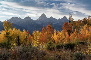 Images Dated 3rd January 2023: USA, Wyoming. Autumn evening near Black Tail Butte, Grand Teton National Park