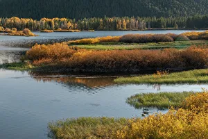 Willow Prints: USA, Wyoming. Autumn evening at the Oxbow Bend, Grand Teton National Park