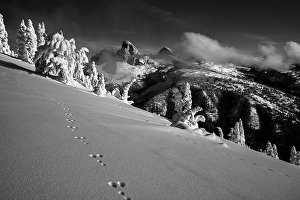 Images Dated 3rd May 2024: USA, Wyoming. Black and white photo of rabbit tracks in snow and landscape on west side of Teton Range