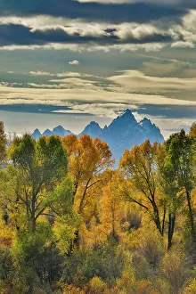 Cottonwood Prints: USA, Wyoming. Buffalo Valley Road and Buffalo Fork River with Autumn Colors on cottonwood trees
