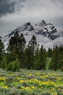 Sunflower Prints: USA, Wyoming. Cathedral view of Mount Teewinot, Grand Teton and Mount Owen