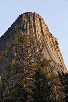 USA, Wyoming, Devils Tower National Monument, Devils Tower is a 1267 foot tall monolithic