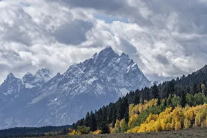 Images Dated 24th June 2020: USA, Wyoming. Grand Teton with colorful autumn foliage, Grand Teton National Park