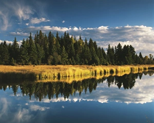 Images Dated 11th February 2013: USA, Wyoming, Grand Teton National Park, Trees reflecting in Snake River