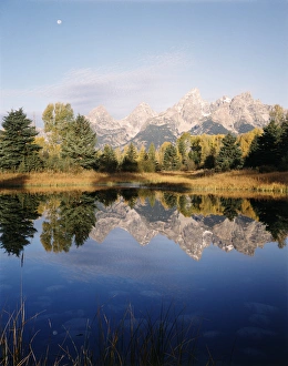 USA, Wyoming, Grand Teton National Park, Grand Teton mountains reflecting in beaver pond