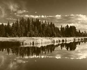 Images Dated 11th February 2013: USA, Wyoming, Grand Teton National Park, Trees reflecting in Snake River
