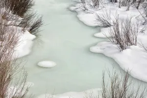 Danita Delimont New Images May 2025 Prints: USA, Wyoming, Grand Teton National Park, Jackson. Ice and willows on Pacific Creek