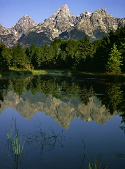 Images Dated 6th March 2009: USA, Wyoming, Grand Teton National Park. Teton Mountains reflected in beaver pond