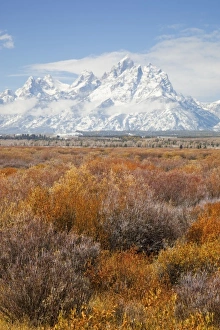 Images Dated 7th October 2009: USA, Wyoming, Grand Teton National Park, Teton Range, Cunningham Cabin Historic Site