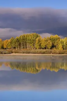 Images Dated 24th September 2006: USA Wyoming Grand Teton NP trees and clouds with refections at Oxbow Bend